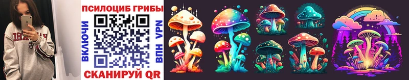 где продают наркотики  Щёлкино  Галлюциногенные грибы Psilocybine cubensis 